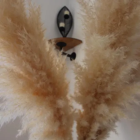 Spacieux Vue Et Montagne En Dernier Etage Avec Terrasse - Parking Et Wifi Lejlighed Ajaccio (Corsica)