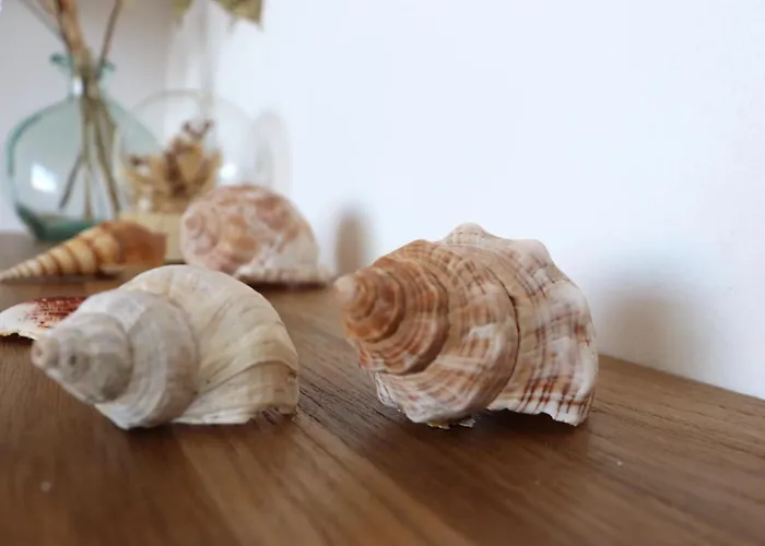 Appartamento Spacieux Vue Et Montagne En Dernier étage Avec Terrasse - Parking Et Wifi *
